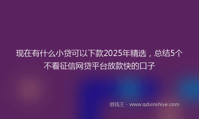 现在有什么小贷可以下款2025年精选，总结5个不看征信网贷平台放款快的口子