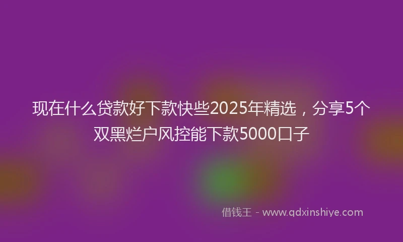 现在什么贷款好下款快些2025年精选，分享5个双黑烂户风控能下款5000口子