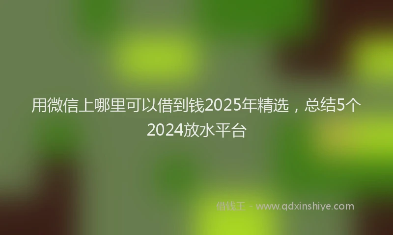 用微信上哪里可以借到钱2025年精选，总结5个2024放水平台