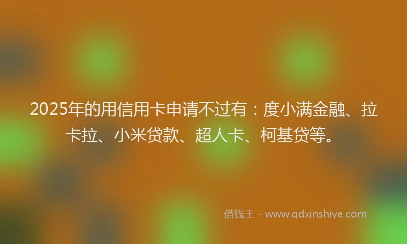 2025年的用信用卡申请不过有：度小满金融、拉卡拉、小米贷款、超人卡、柯基贷等。