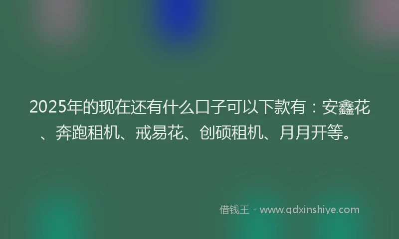 2025年的现在还有什么口子可以下款有：安鑫花、奔跑租机、戒易花、创硕租机、月月开等。