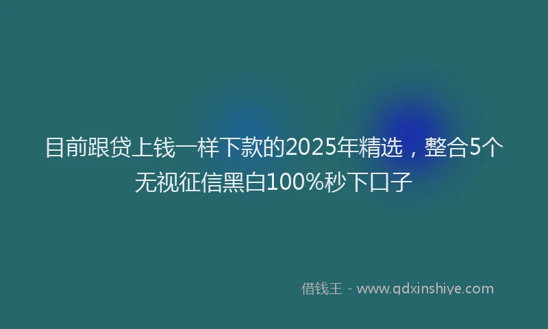 目前跟贷上钱一样下款的2025年精选，整合5个无视征信黑白100%秒下口子