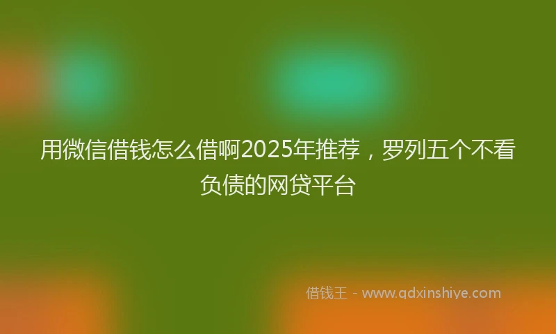 用微信借钱怎么借啊2025年推荐，罗列五个不看负债的网贷平台