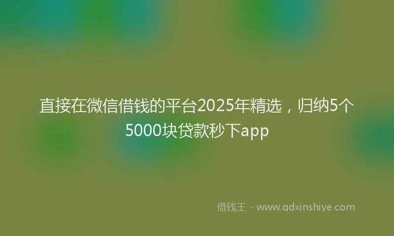 直接在微信借钱的平台2025年精选，归纳5个5000块贷款秒下app