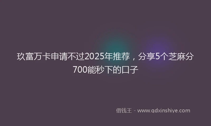 玖富万卡申请不过2025年推荐，分享5个芝麻分700能秒下的口子