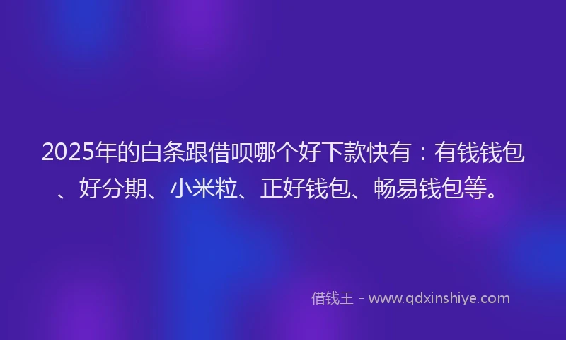 2025年的白条跟借呗哪个好下款快有：有钱钱包、好分期、小米粒、正好钱包、畅易钱包等。