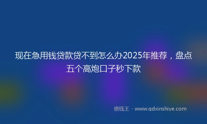 现在急用钱贷款贷不到怎么办2025年推荐，盘点五个高炮口子秒下款