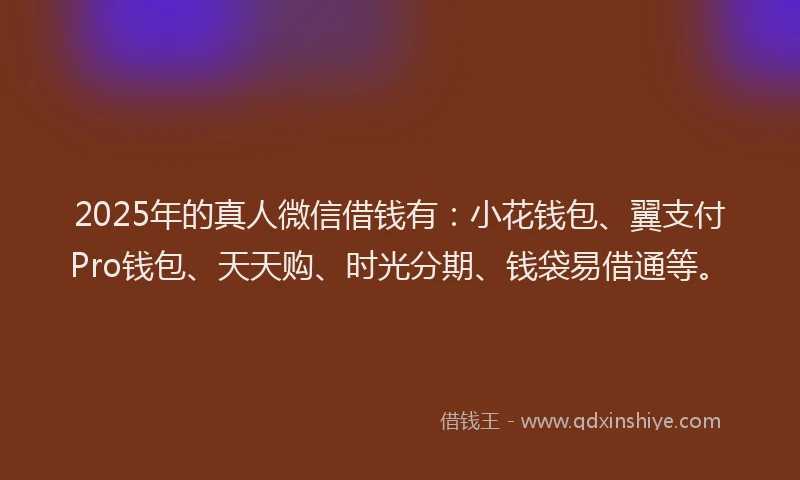 2025年的真人微信借钱有：小花钱包、翼支付Pro钱包、天天购、时光分期、钱袋易借通等。