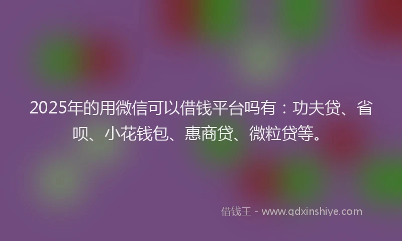 2025年的用微信可以借钱平台吗有：功夫贷、省呗、小花钱包、惠商贷、微粒贷等。