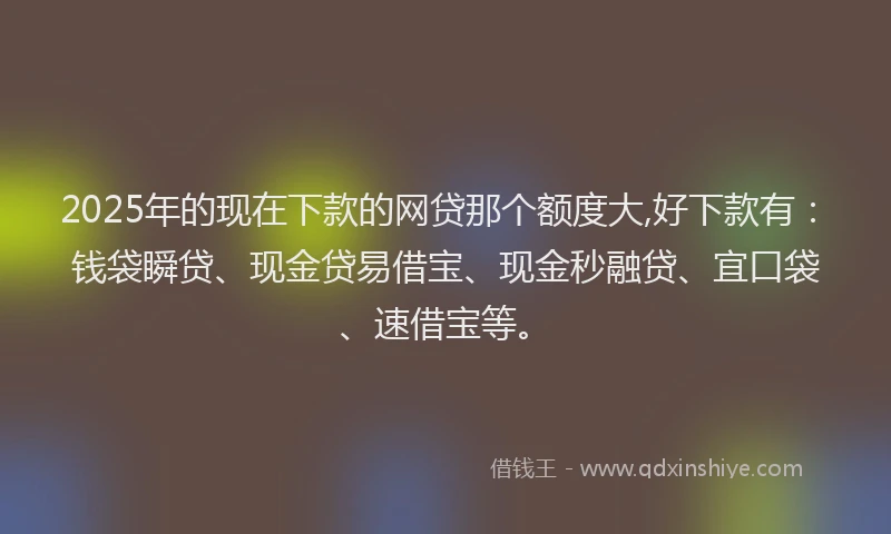 2025年的现在下款的网贷那个额度大,好下款有：钱袋瞬贷、现金贷易借宝、现金秒融贷、宜口袋、速借宝等。