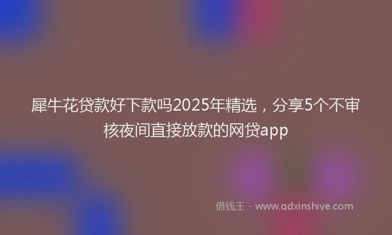 犀牛花贷款好下款吗2025年精选，分享5个不审核夜间直接放款的网贷app