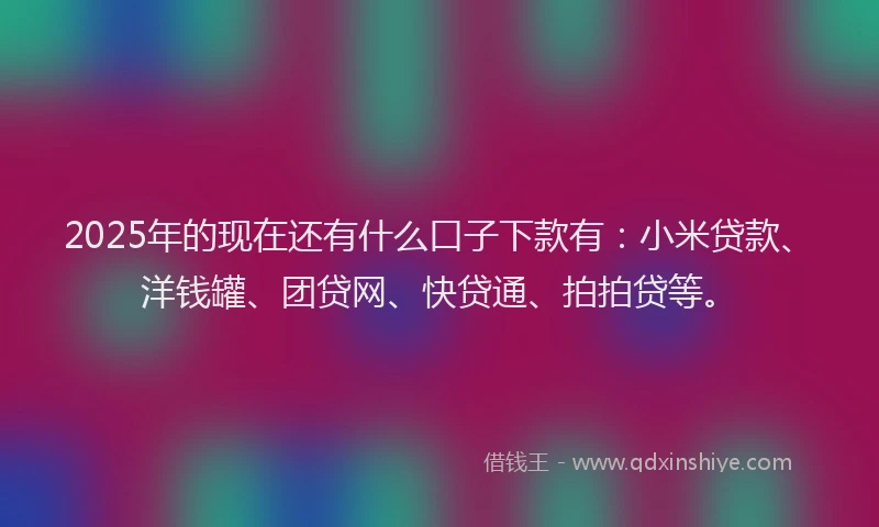 2025年的现在还有什么口子下款有：小米贷款、洋钱罐、团贷网、快贷通、拍拍贷等。