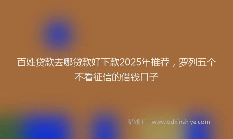 百姓贷款去哪贷款好下款2025年推荐，罗列五个不看征信的借钱口子
