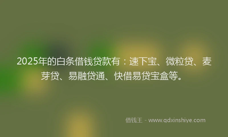 2025年的白条借钱贷款有：速下宝、微粒贷、麦芽贷、易融贷通、快借易贷宝盒等。