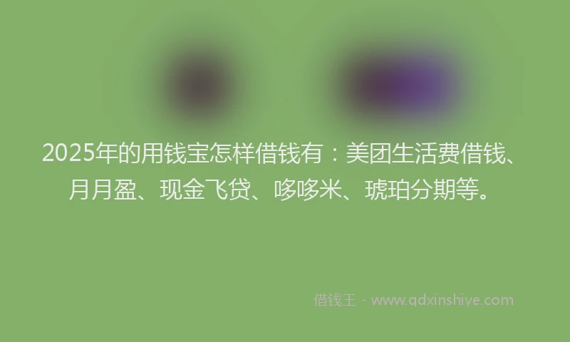 2025年的用钱宝怎样借钱有：美团生活费借钱、月月盈、现金飞贷、哆哆米、琥珀分期等。