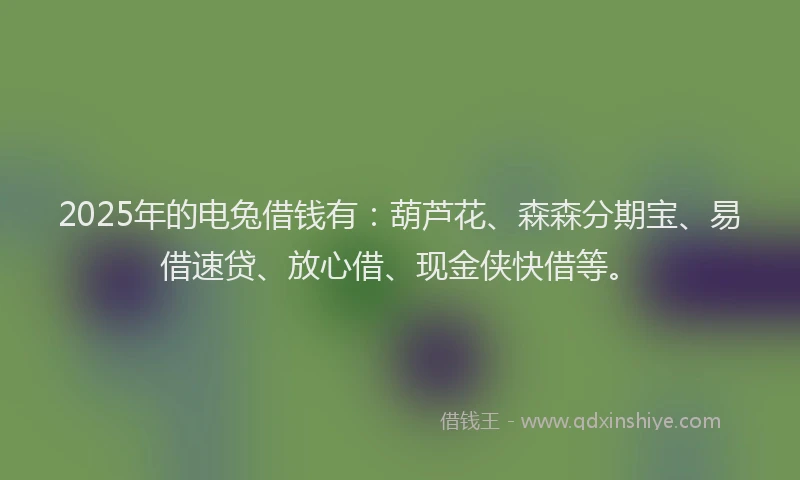 2025年的电兔借钱有：葫芦花、森森分期宝、易借速贷、放心借、现金侠快借等。