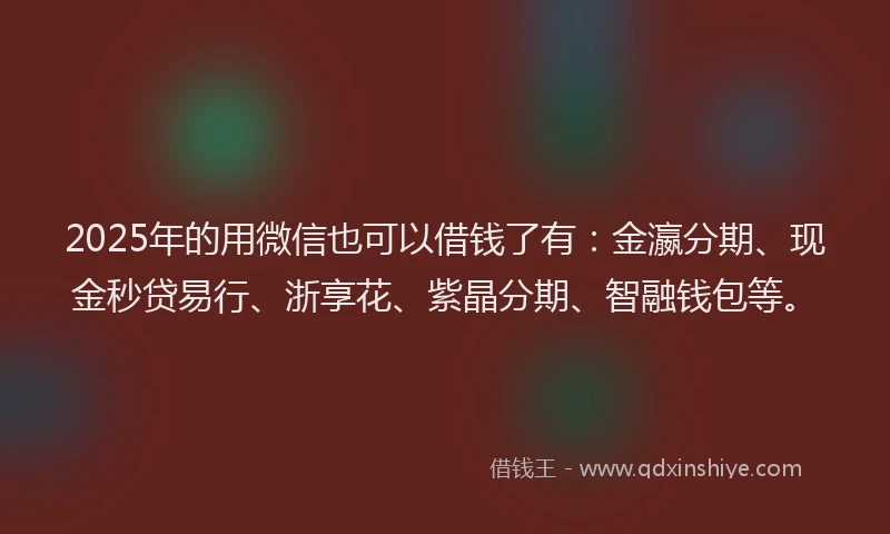 2025年的用微信也可以借钱了有：金瀛分期、现金秒贷易行、浙享花、紫晶分期、智融钱包等。