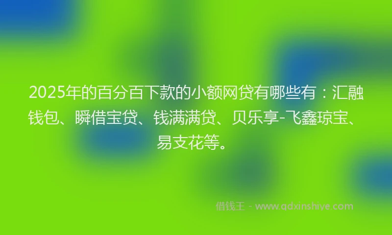 2025年的百分百下款的小额网贷有哪些有：汇融钱包、瞬借宝贷、钱满满贷、贝乐享-飞鑫琼宝、易支花等。
