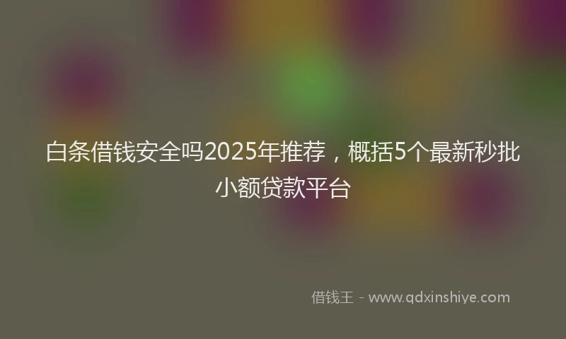 白条借钱安全吗2025年推荐，概括5个最新秒批小额贷款平台