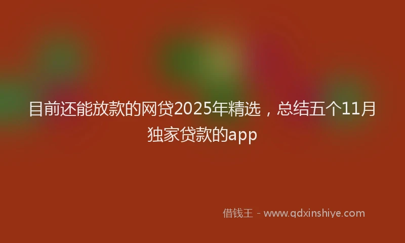 目前还能放款的网贷2025年精选，总结五个11月独家贷款的app
