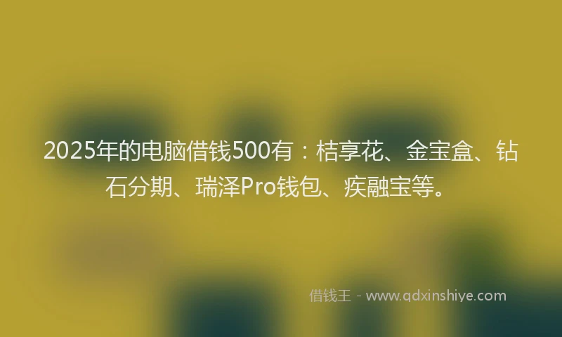 2025年的电脑借钱500有：桔享花、金宝盒、钻石分期、瑞泽Pro钱包、疾融宝等。