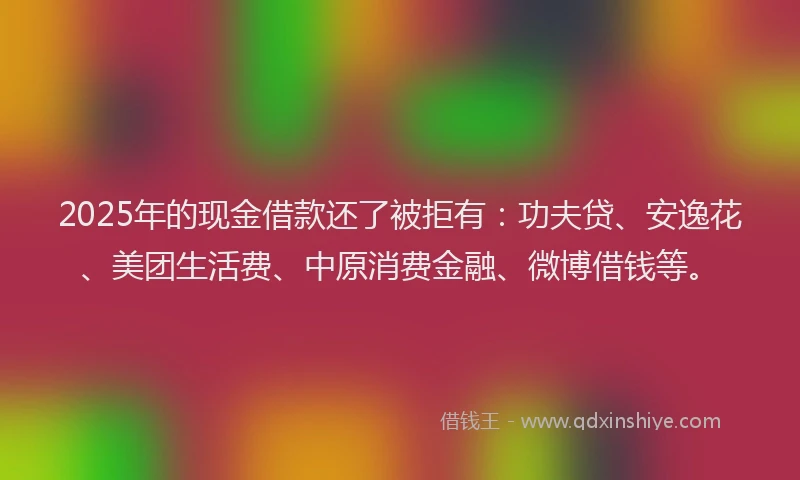 2025年的现金借款还了被拒有：功夫贷、安逸花、美团生活费、中原消费金融、微博借钱等。