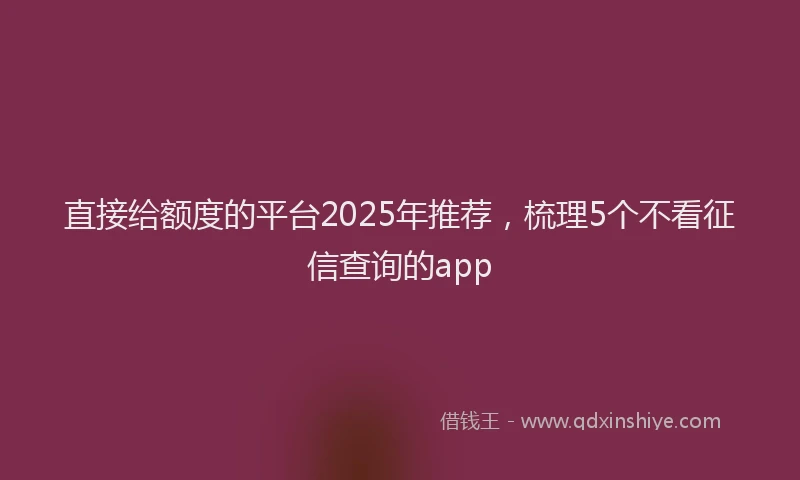 直接给额度的平台2025年推荐，梳理5个不看征信查询的app