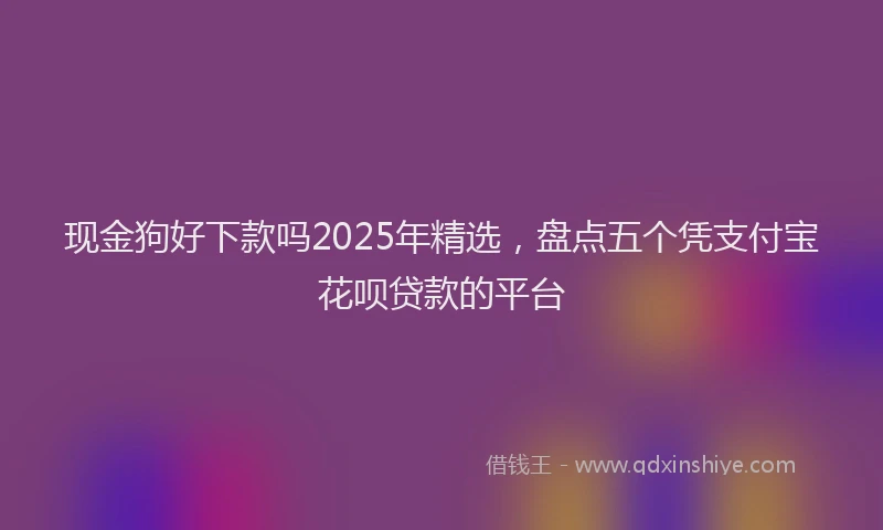 现金狗好下款吗2025年精选，盘点五个凭支付宝花呗贷款的平台