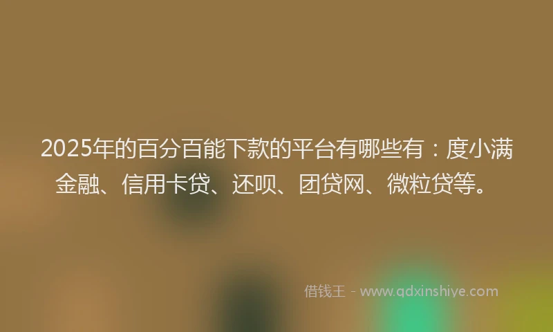 2025年的百分百能下款的平台有哪些有：度小满金融、信用卡贷、还呗、团贷网、微粒贷等。