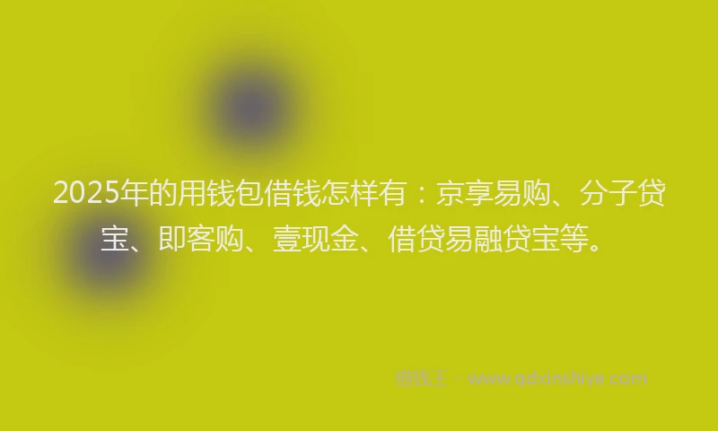 2025年的用钱包借钱怎样有：京享易购、分子贷宝、即客购、壹现金、借贷易融贷宝等。