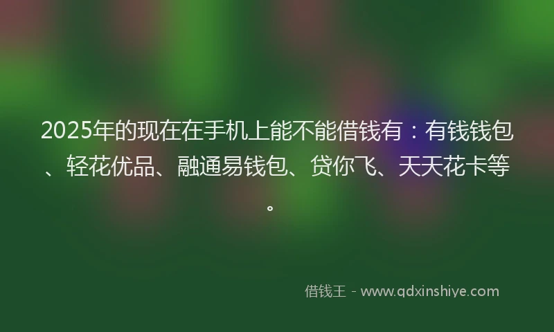 2025年的现在在手机上能不能借钱有：有钱钱包、轻花优品、融通易钱包、贷你飞、天天花卡等。