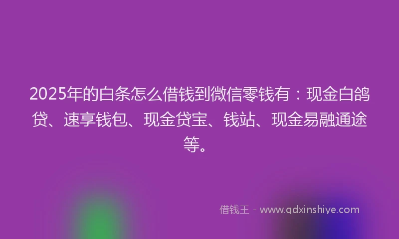 2025年的白条怎么借钱到微信零钱有：现金白鸽贷、速享钱包、现金贷宝、钱站、现金易融通途等。