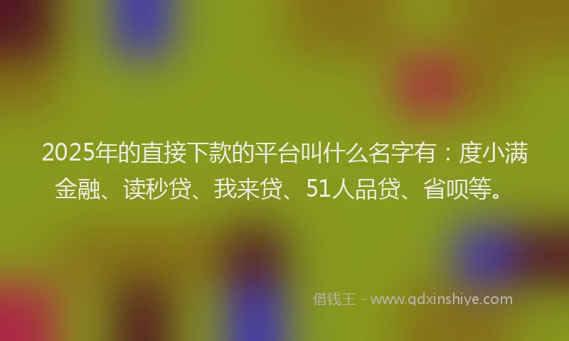 2025年的直接下款的平台叫什么名字有：度小满金融、读秒贷、我来贷、51人品贷、省呗等。