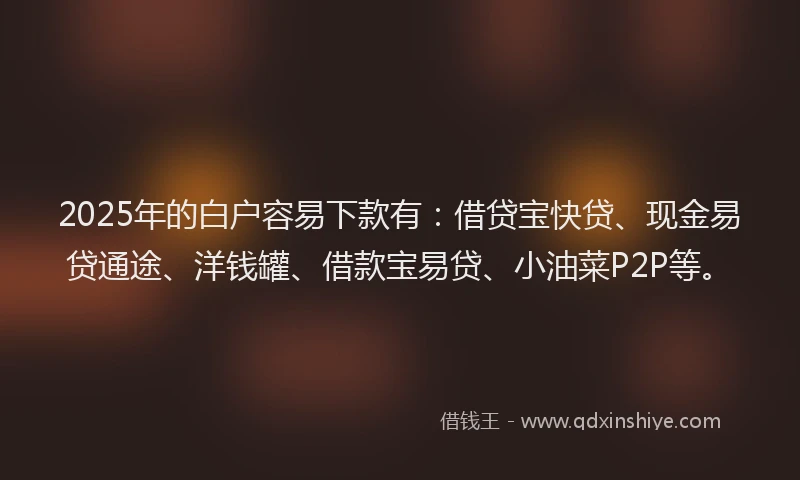 2025年的白户容易下款有：借贷宝快贷、现金易贷通途、洋钱罐、借款宝易贷、小油菜P2P等。
