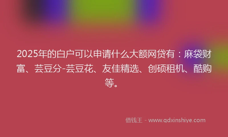 2025年的白户可以申请什么大额网贷有：麻袋财富、芸豆分-芸豆花、友佳精选、创硕租机、酷购等。