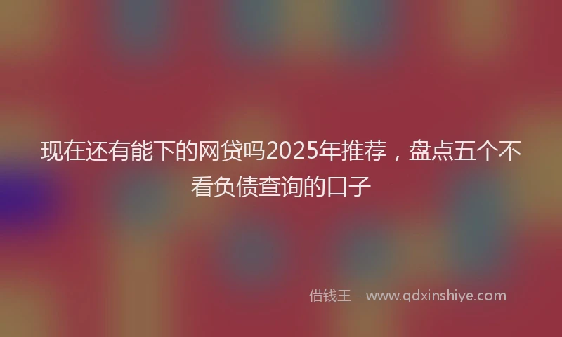 现在还有能下的网贷吗2025年推荐，盘点五个不看负债查询的口子