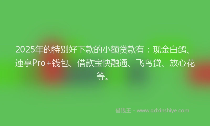 2025年的特别好下款的小额贷款有：现金白鸽、速享Pro+钱包、借款宝快融通、飞鸟贷、放心花等。