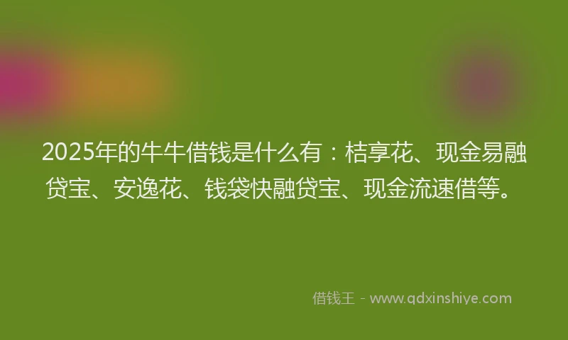 2025年的牛牛借钱是什么有：桔享花、现金易融贷宝、安逸花、钱袋快融贷宝、现金流速借等。