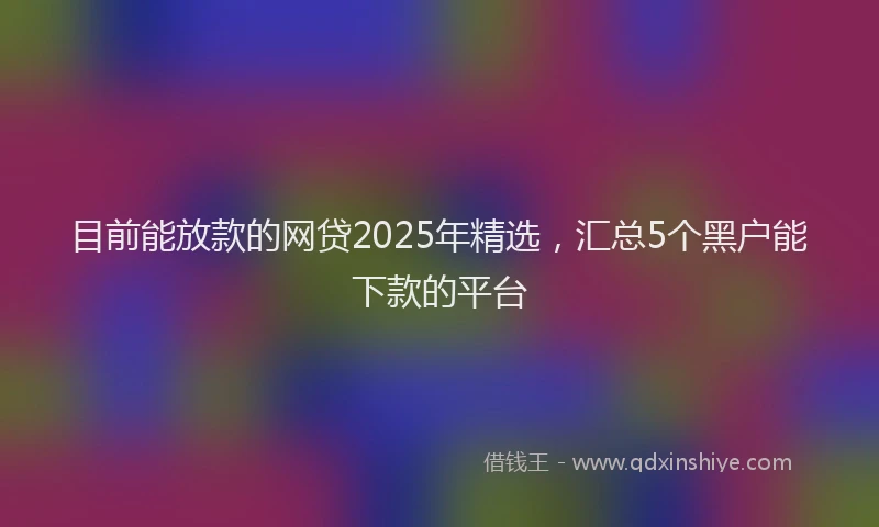 目前能放款的网贷2025年精选，汇总5个黑户能下款的平台