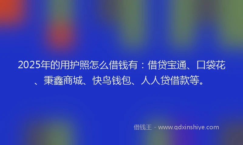 2025年的用护照怎么借钱有：借贷宝通、口袋花、秉鑫商城、快鸟钱包、人人贷借款等。