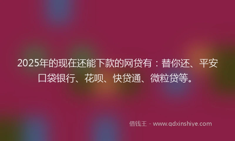 2025年的现在还能下款的网贷有：替你还、平安口袋银行、花呗、快贷通、微粒贷等。