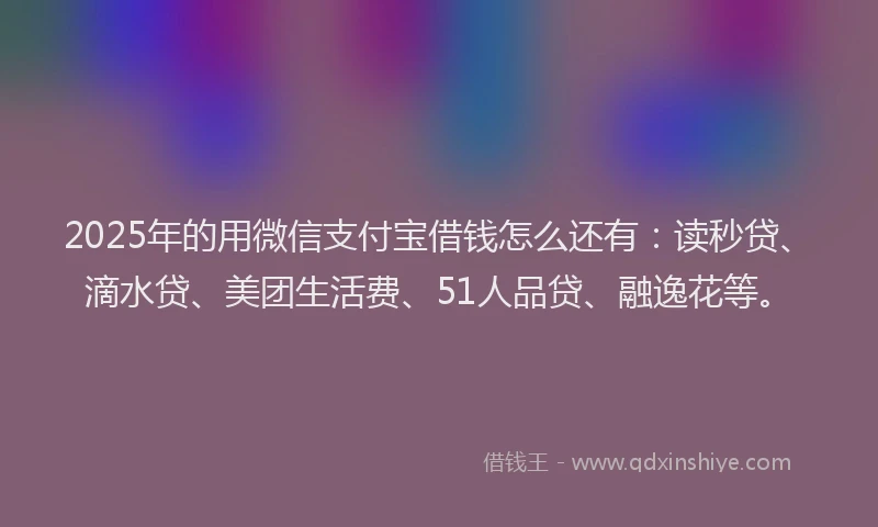2025年的用微信支付宝借钱怎么还有：读秒贷、滴水贷、美团生活费、51人品贷、融逸花等。