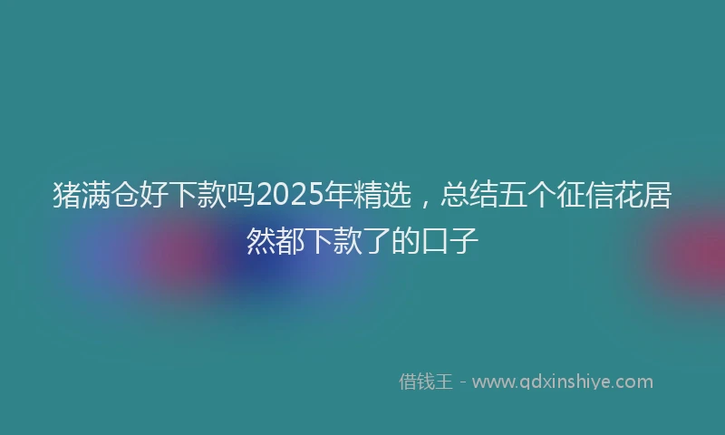 猪满仓好下款吗2025年精选，总结五个征信花居然都下款了的口子