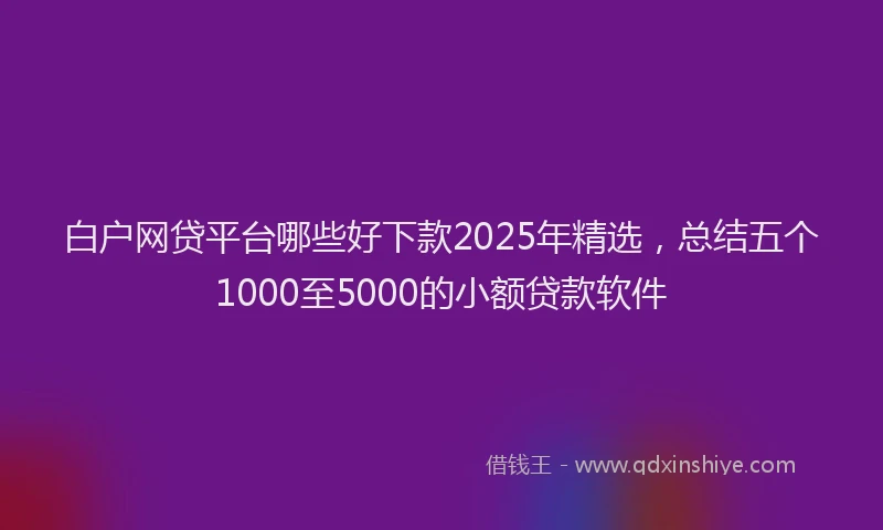 白户网贷平台哪些好下款2025年精选，总结五个1000至5000的小额贷款软件