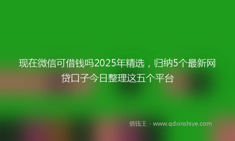 现在微信可借钱吗2025年精选，归纳5个最新网贷口子今日整理这五个平台