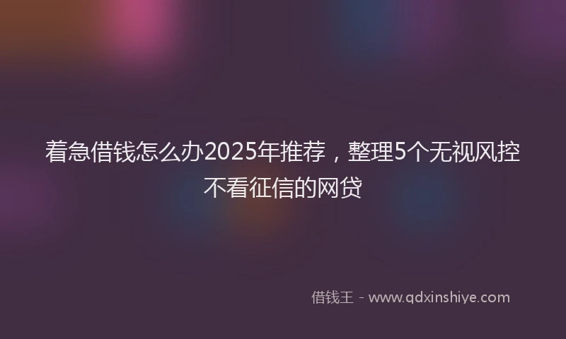 着急借钱怎么办2025年推荐，整理5个无视风控不看征信的网贷