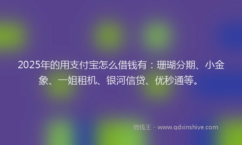 2025年的用支付宝怎么借钱有：珊瑚分期、小金象、一姐租机、银河信贷、优秒通等。