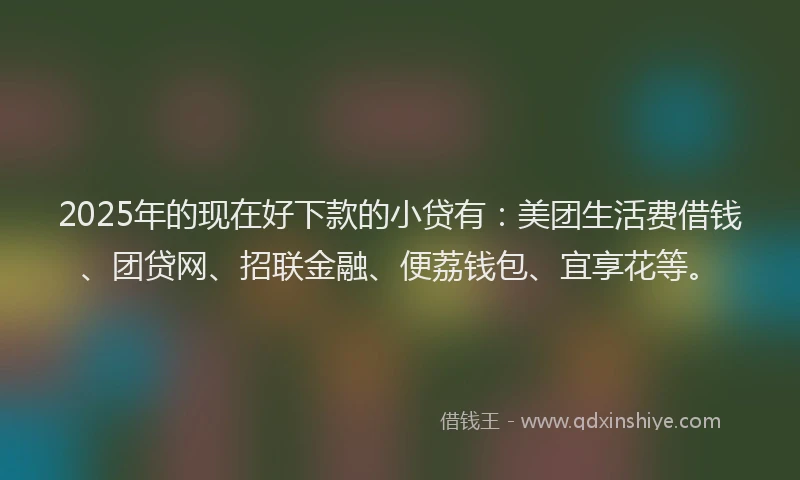2025年的现在好下款的小贷有：美团生活费借钱、团贷网、招联金融、便荔钱包、宜享花等。