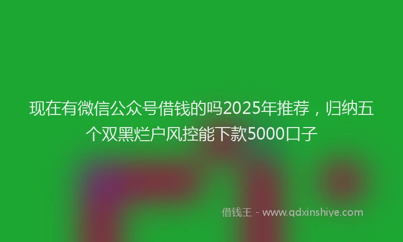 现在有微信公众号借钱的吗2025年推荐，归纳五个双黑烂户风控能下款5000口子