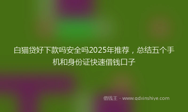 白猫贷好下款吗安全吗2025年推荐，总结五个手机和身份证快速借钱口子